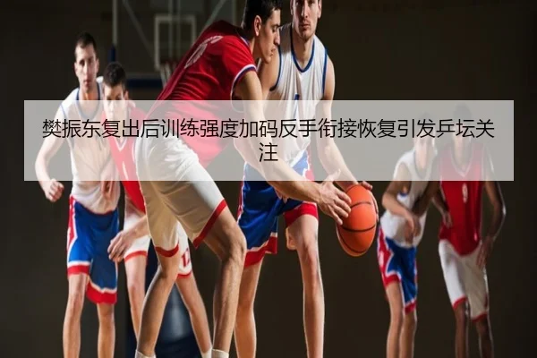 樊振东复出后训练强度加码反手衔接恢复引发乒坛关注